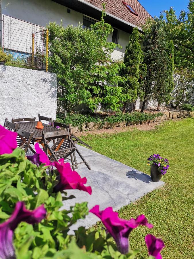Apartmany U Prochazku Horovicky المظهر الخارجي الصورة